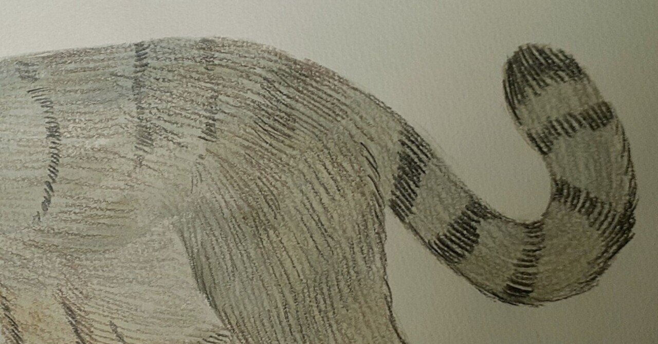 イラスト】マヌルネコ｜TechpanCreate（テクパン・クリエイト）