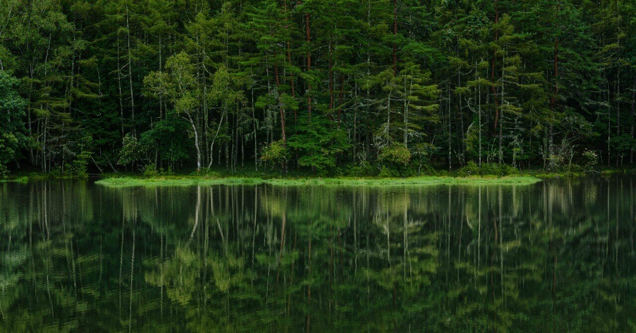 写真に正解を求めると苦しくなる理由｜sho