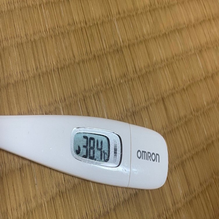 人はなぜ熱が上がると体温計の写真を撮ってしまうのか｜ﾓｽ