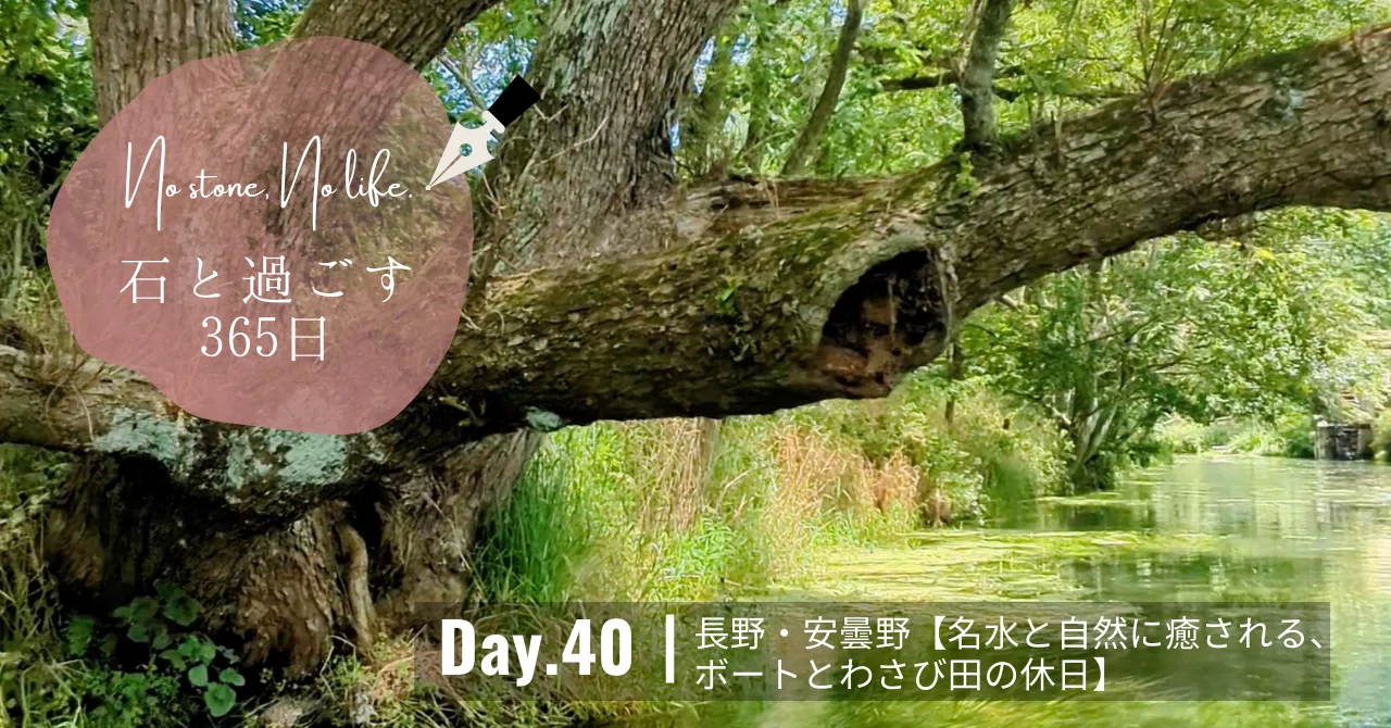 Day.40┃長野・安曇野①【名水と自然に癒される、ボートとわさび田の