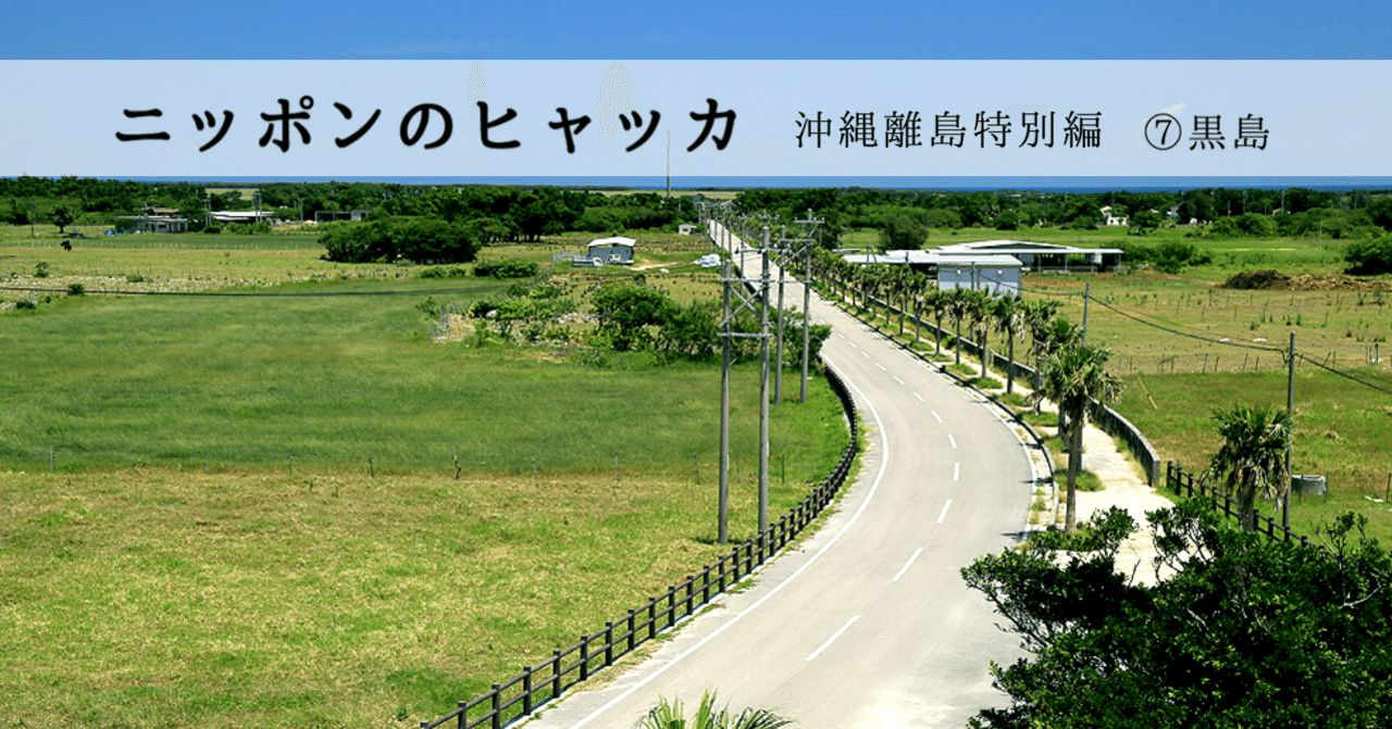 何もない」がある島は、疲れた心を癒す島―ニッポンのヒャッカ沖縄編7