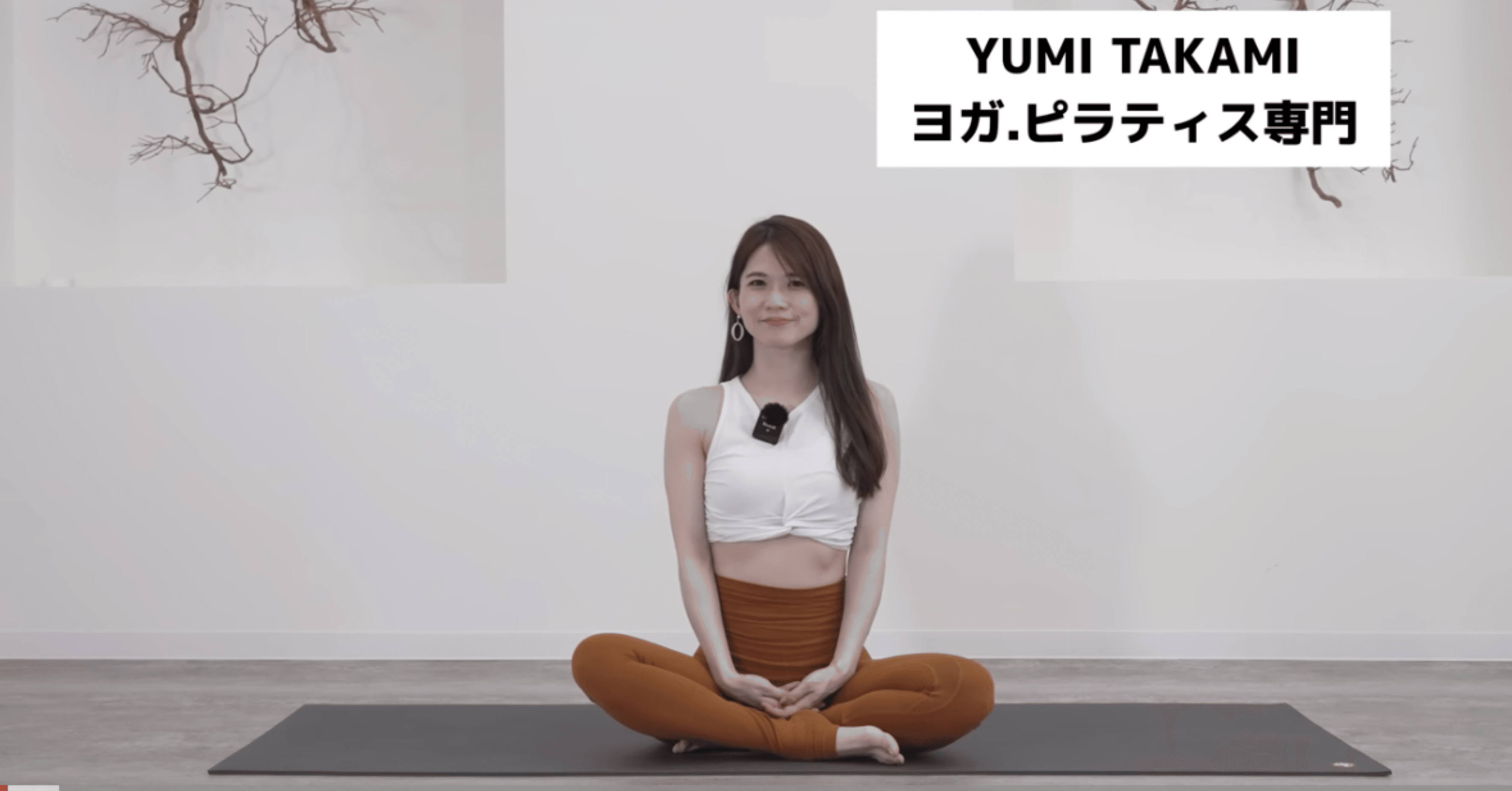 ピラティスやってみたい！この動画観て！｜るうのカンセイ箱