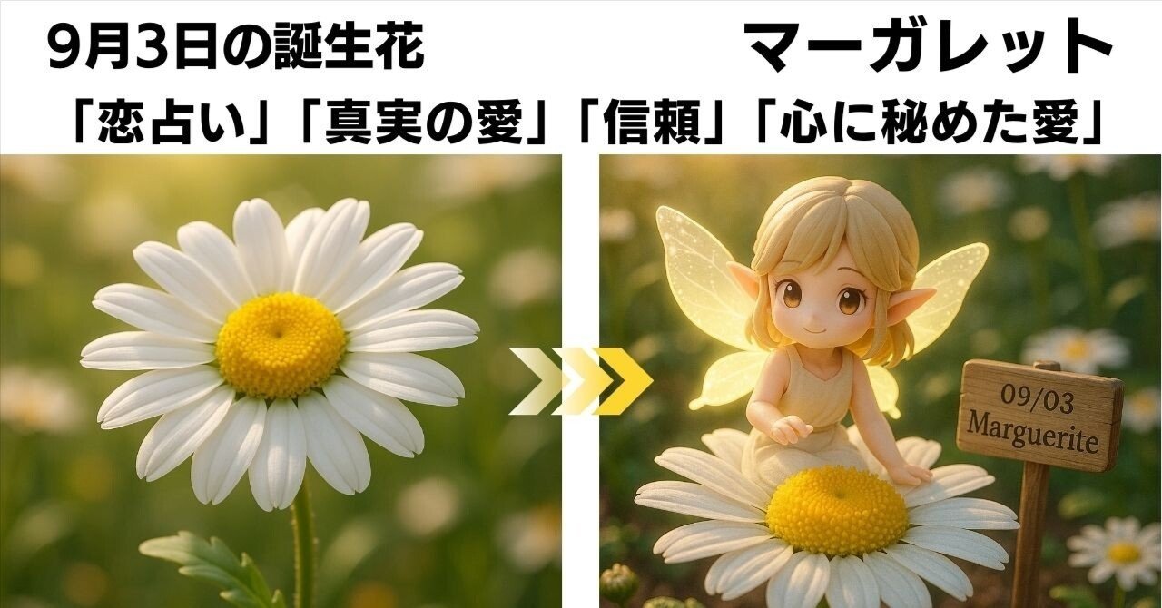9月3日 誕生花マーガレットが語る花言葉「恋占い／真実の愛／信頼／心