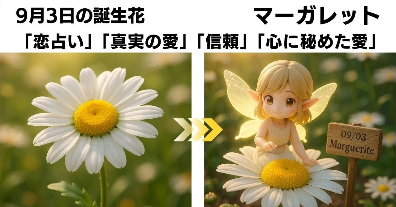 9月3日 誕生花マーガレットが語る花言葉「恋占い／真実の愛／信頼／心