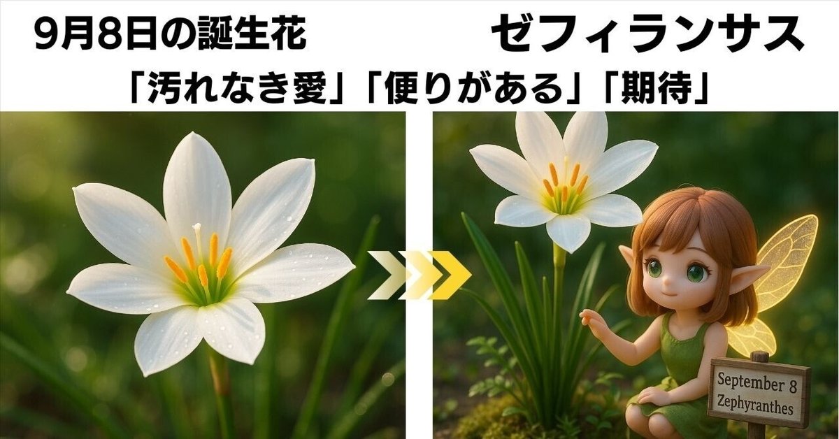 9月8日 誕生花】ゼフィランサス｜花言葉「汚れなき愛」「便りが