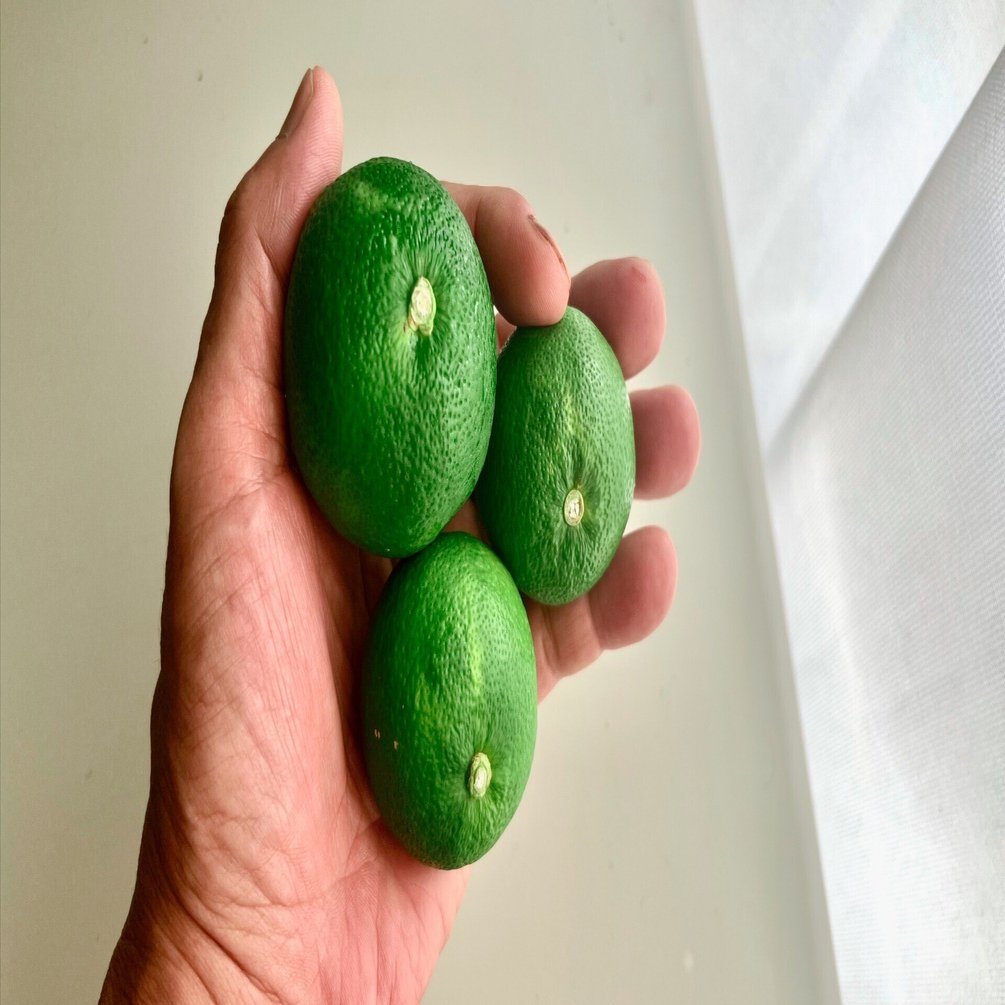 徳島県神山町のすだちは最高です｜solitude 普通の生活