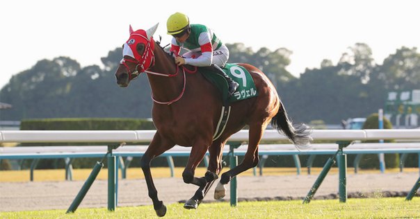 宝塚記念　非売品　ピンバッジ　競馬　貴重　箱付き 2025年最新】宝塚記念 ピンバッジの人気アイテム - メルカリ