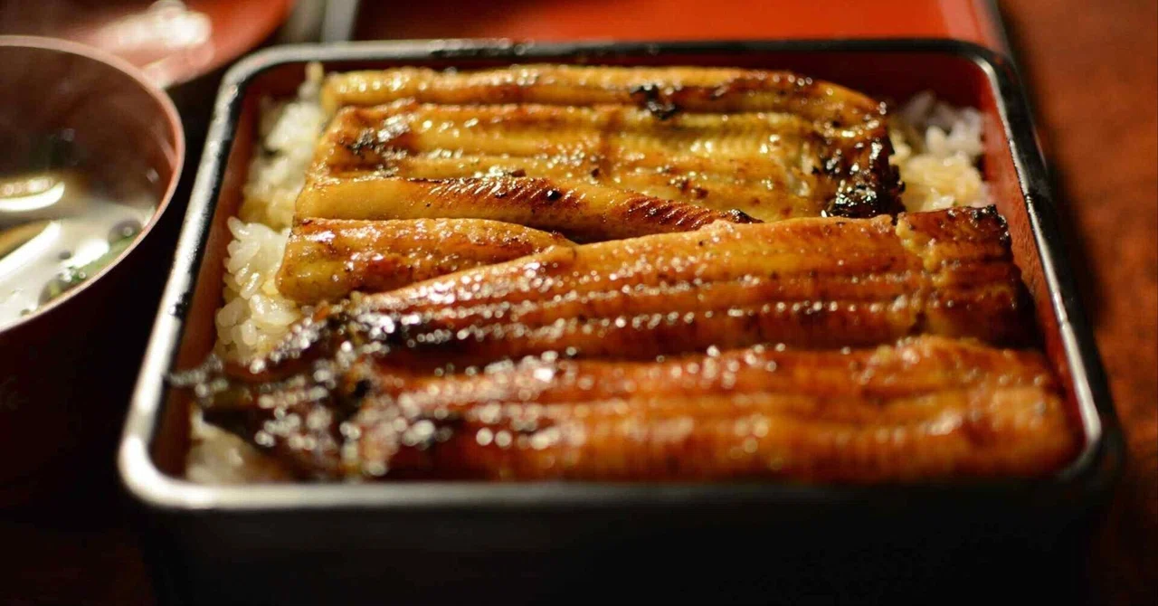 Too Busy and Always Eating Out! 'Japanese-Style Add-On Habits' to ...