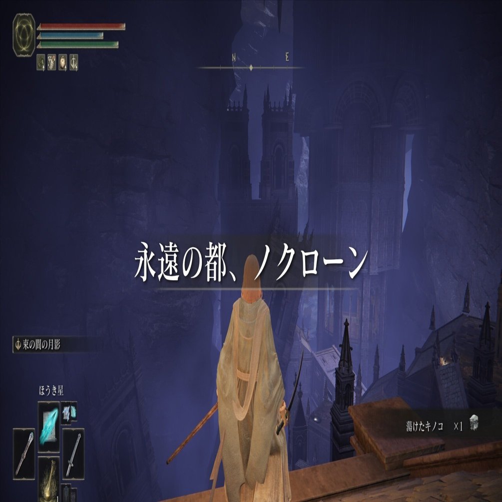 永遠の都、ノクローン ラニの為に。【エルデンリング】｜ルエル