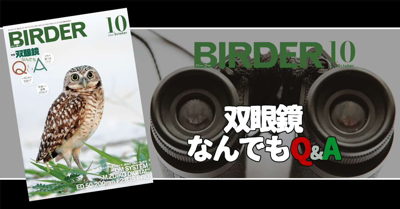 BIRDER10月号の見どころ｜ブンイチ（文一総合出版）
