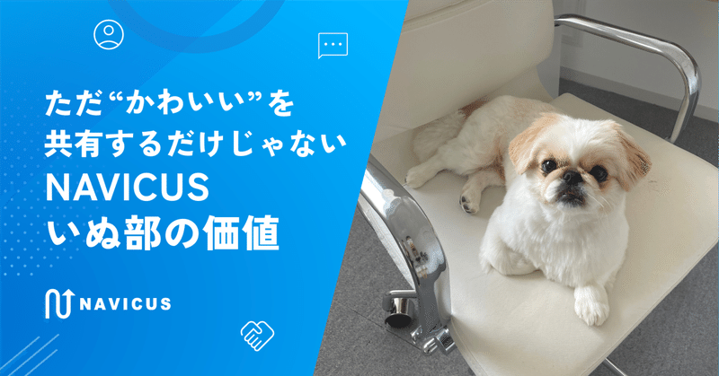ただ“かわいい”を共有するだけじゃない、NAVICUSいぬ部の価値