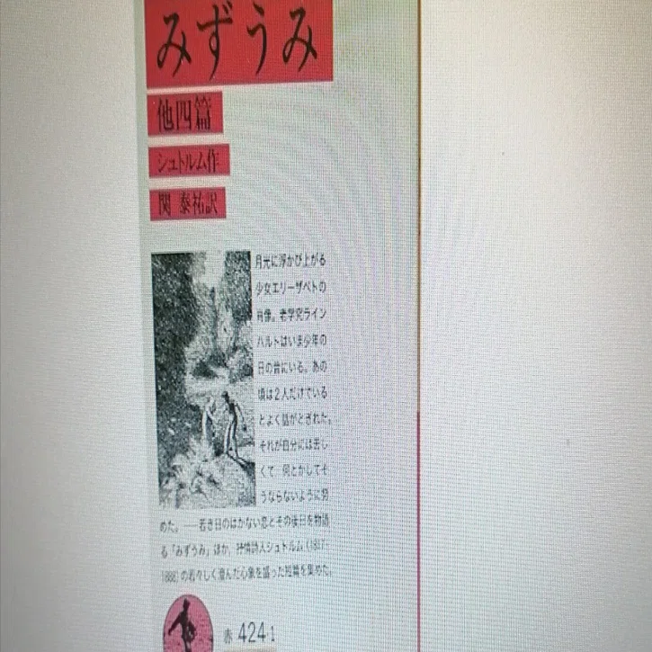 シュトルム作「みずうみ」（1849年）感想｜石野夏実