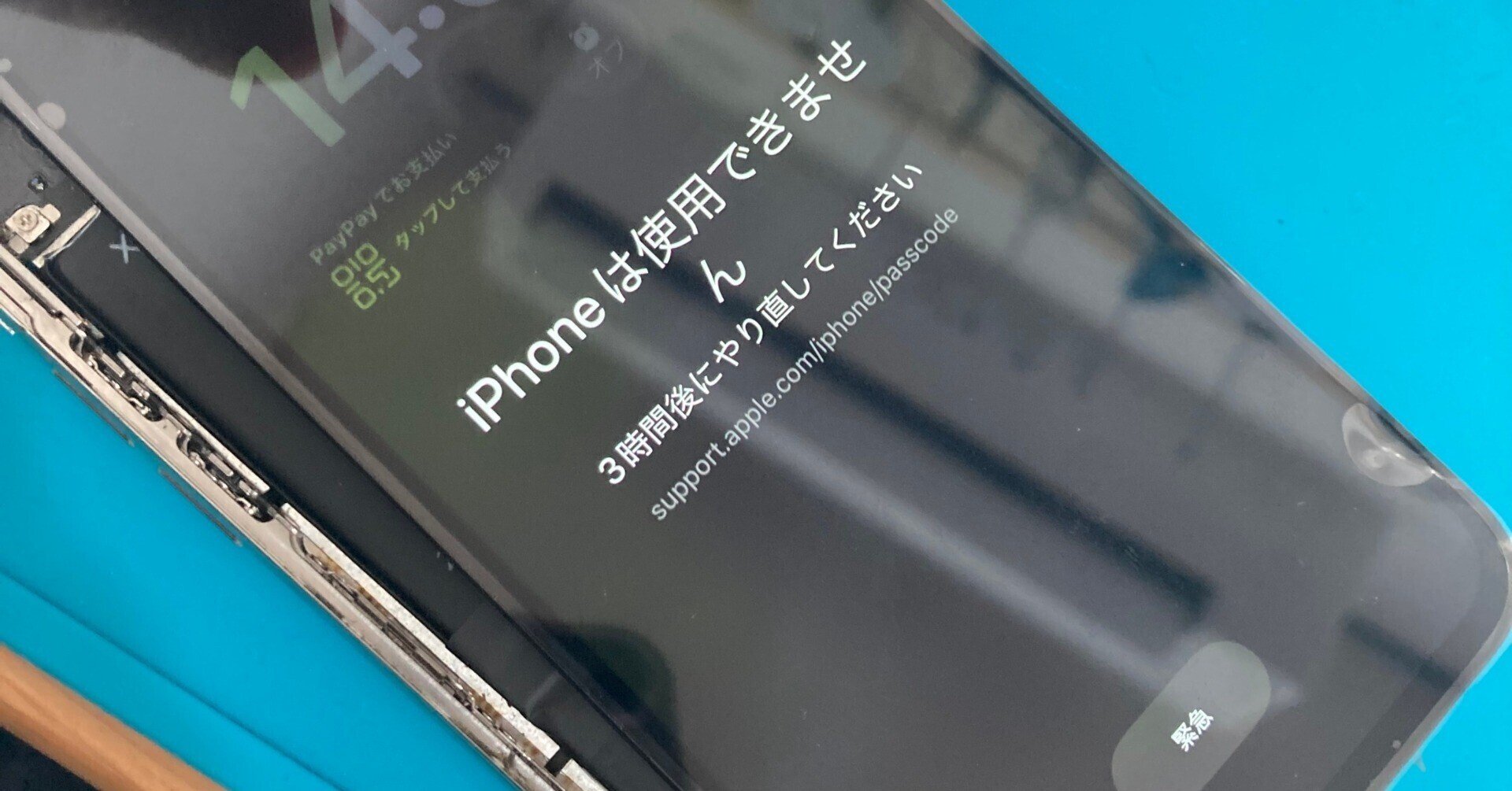 Apple iPhone XS シルバー 画面ひび割れあり iPhone XS SIMフリー iPhoneXS 64GB シルバー [Silver] 新品未