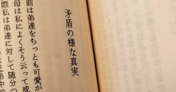 樋口毅宏 『民宿雪国』: 「知られざる傑作」の、 モラルと批評 樋口毅宏 『民宿雪国』: 「知られざる傑作」の、 モラルと批評
