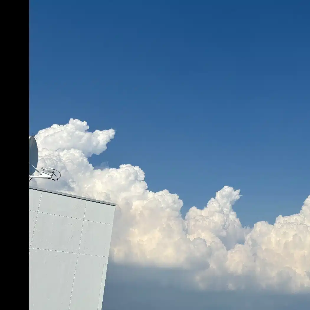 このめも
