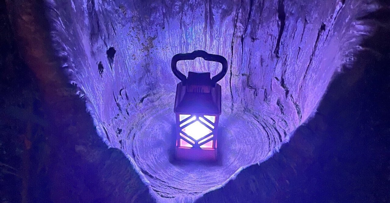 住友館　ランタン　大阪関西万博 大阪万博｢住友館｣、森の中をランタン持ち冒険 報道公開 - 日本