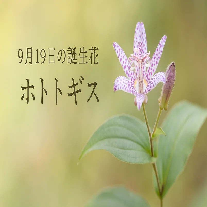 9月19日の誕生花「ホトトギス」｜Natsu1