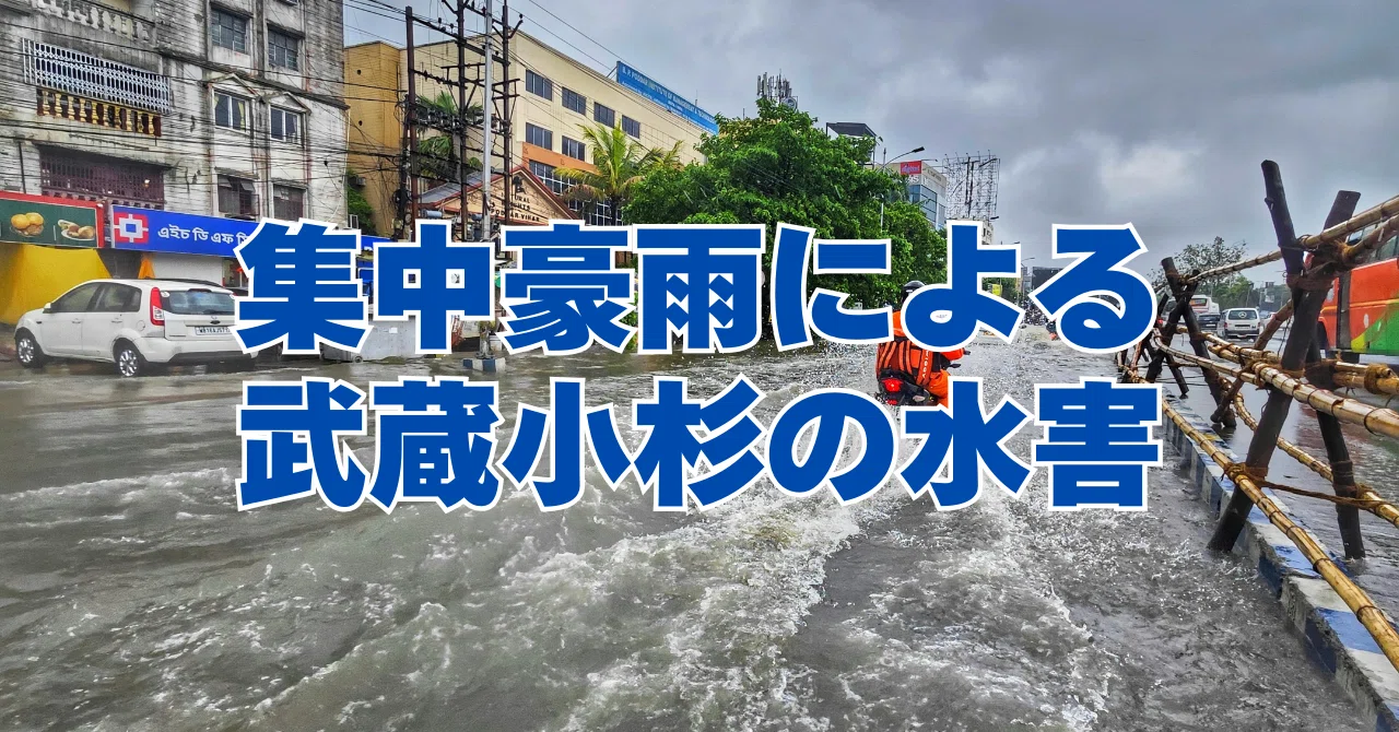 武蔵小杉 災害リスク