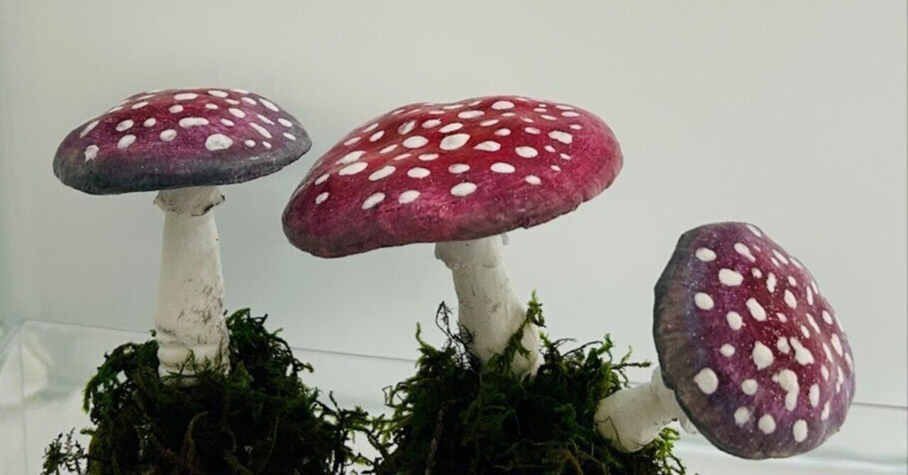 Nommi きのこ　400% v2 紫　水色 □Laccaria amethystina (ウラムラサキ)