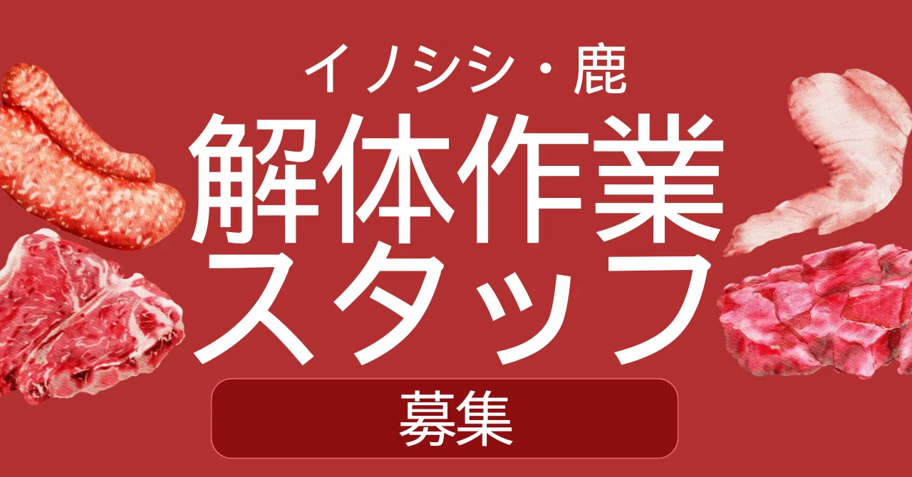 イノシシ・鹿の解体作業スタッフ募集｜ジビエ解体人