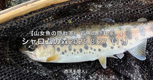 管釣り備忘録 テンリュウ レイズオルタ RZA62UL-S インプレ｜お