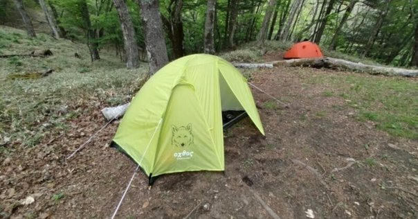 ベイカーエアー4Pbaker 4p（ARBOR outdoor） 新品未使用品 ARBOR