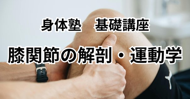 新潟手の外科セミナーの振り返り｜エスケー@整形外科
