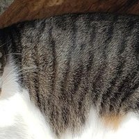 ダーウィンが この世に生き残る生き物は 変化に対応できる生き物だ なんて言うわけがないが この誤解 は重要な示唆を与えてくれている S Morikawa Note