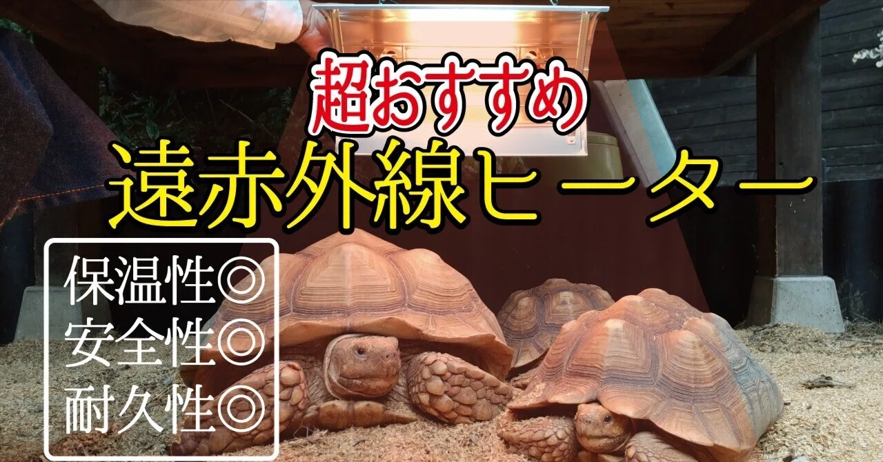 大型リクガメに超おすすめの遠赤外線ヒーターはこれだ！｜藤井 匠也 