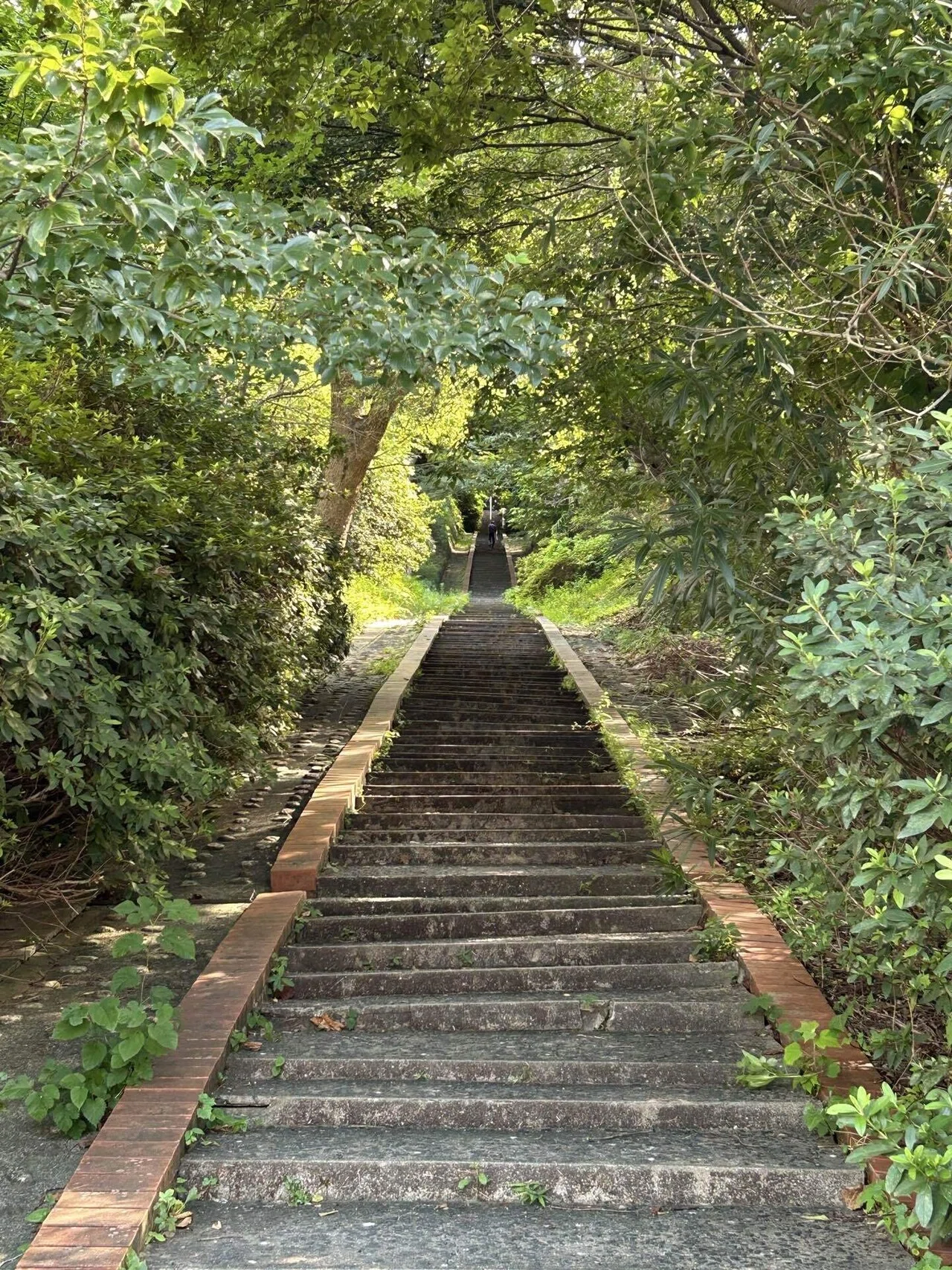 福岡市中央区 動物園入口付近から植物園に至る階段。と、その先の展望