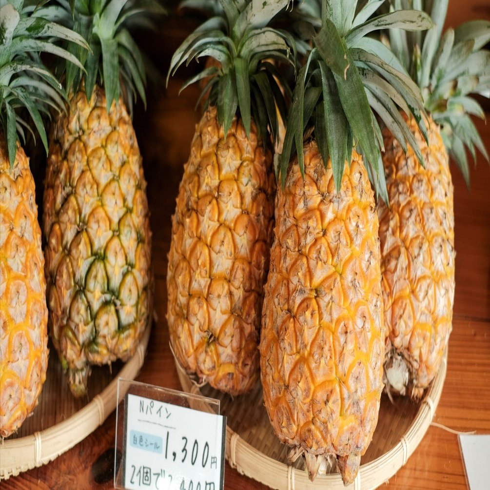 スズムシパイナップル バスボム 南国パイン 95g 店販可 フルーツの森の通販｜美セラ