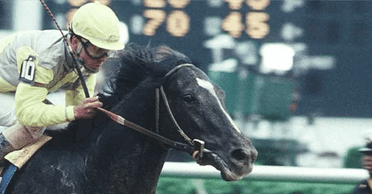 サラブレッド生産頭数から考える歴代最強馬｜ぱねす