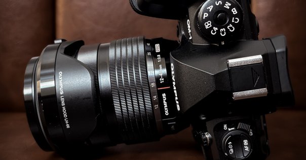 フィルムカメラと冬-OLYMPUS OM-1【作例あり】｜散財くん