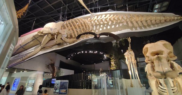 世界の美術館1〜5　La muse 世界の美術館1〜5 La muse 世界の美術館1〜5 La muse