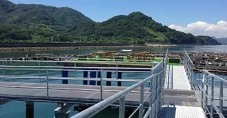 今治で海釣りが楽しめる釣り堀 フィッシングパーク大三島 ばりばりじん Note