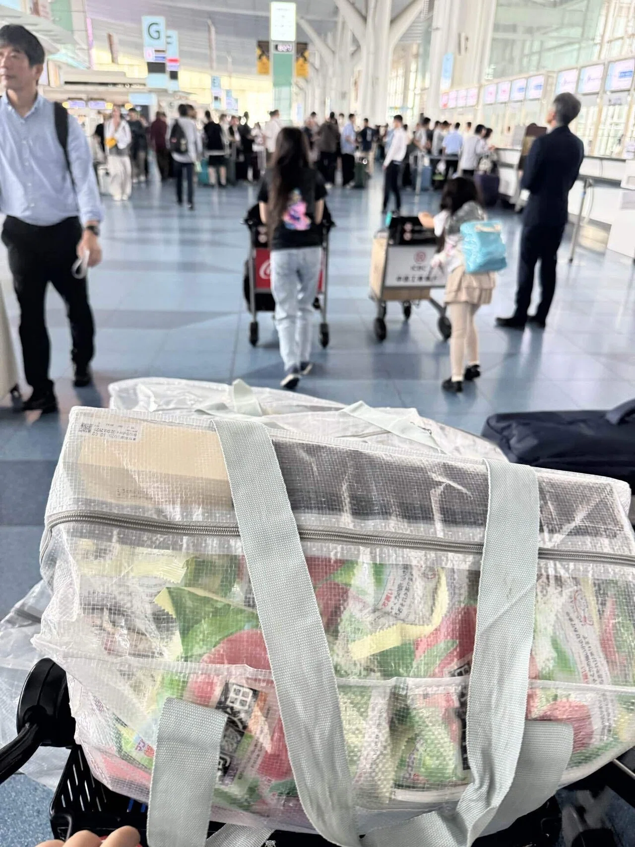 ニューヨークで毎日困ってます】一時帰国で買ってきたものー1ヶ月ぶり 
