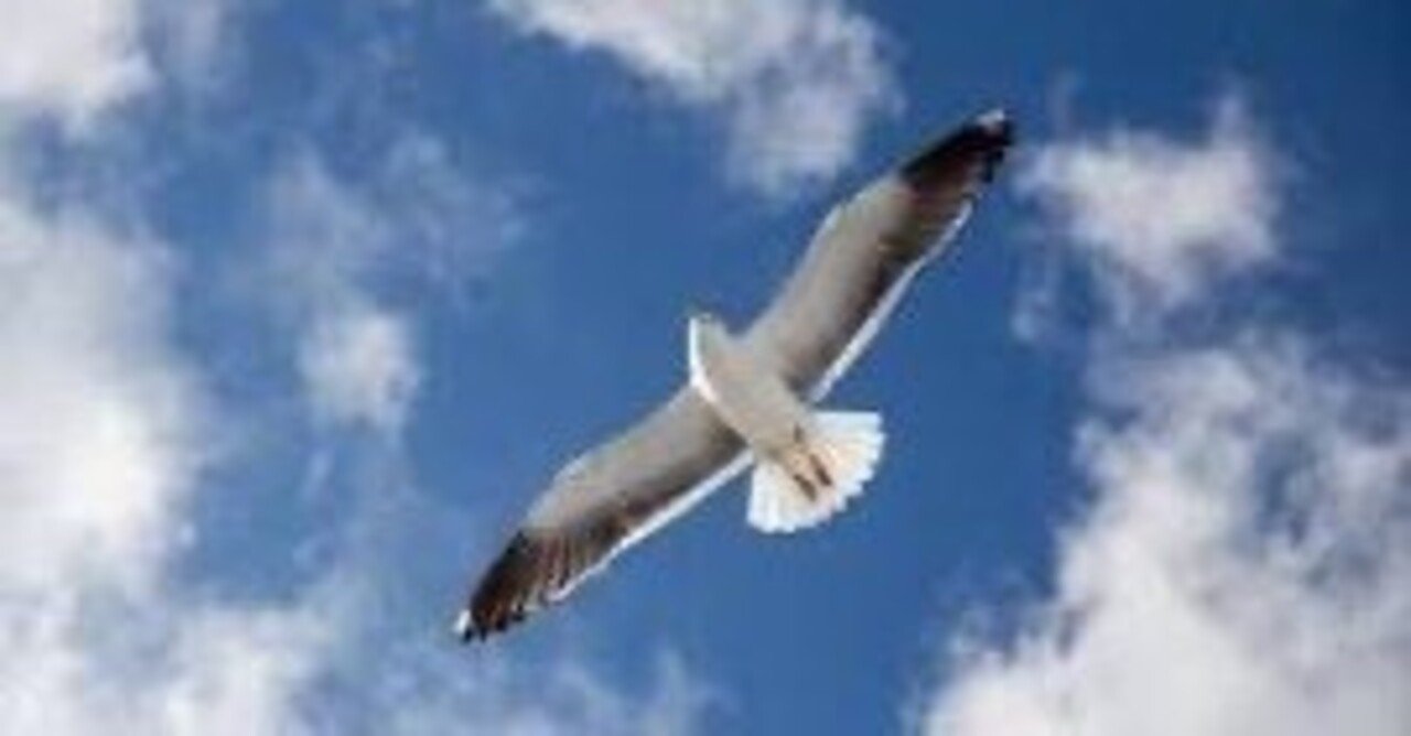 FEBC その名はインマヌエル マタイによる福音書 MP3 全6巻 広田叔弘 敵