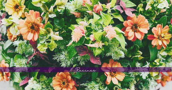 たぬきち様　フリチラリアペルシカ２球　ネプスキアヌム2球　カラタビエンセ2球 乙庭植物図鑑】20230713 Garden Storyに寄稿した秋植え球根記事