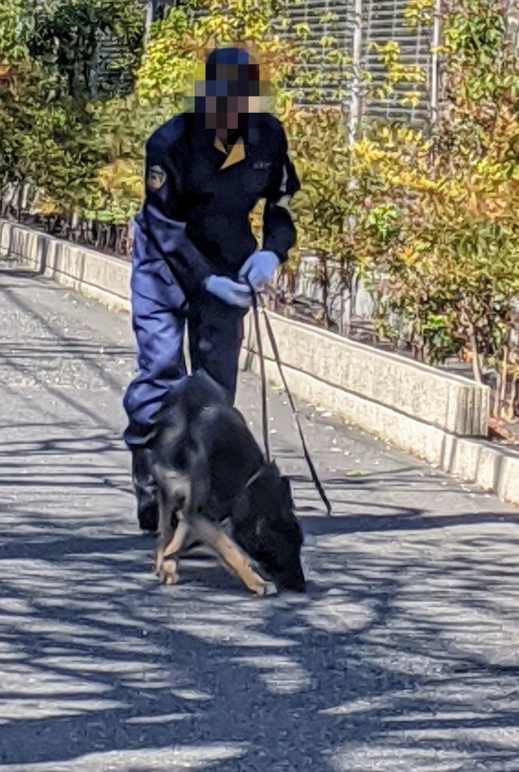 警察犬 の新着タグ記事一覧 Note つくる つながる とどける