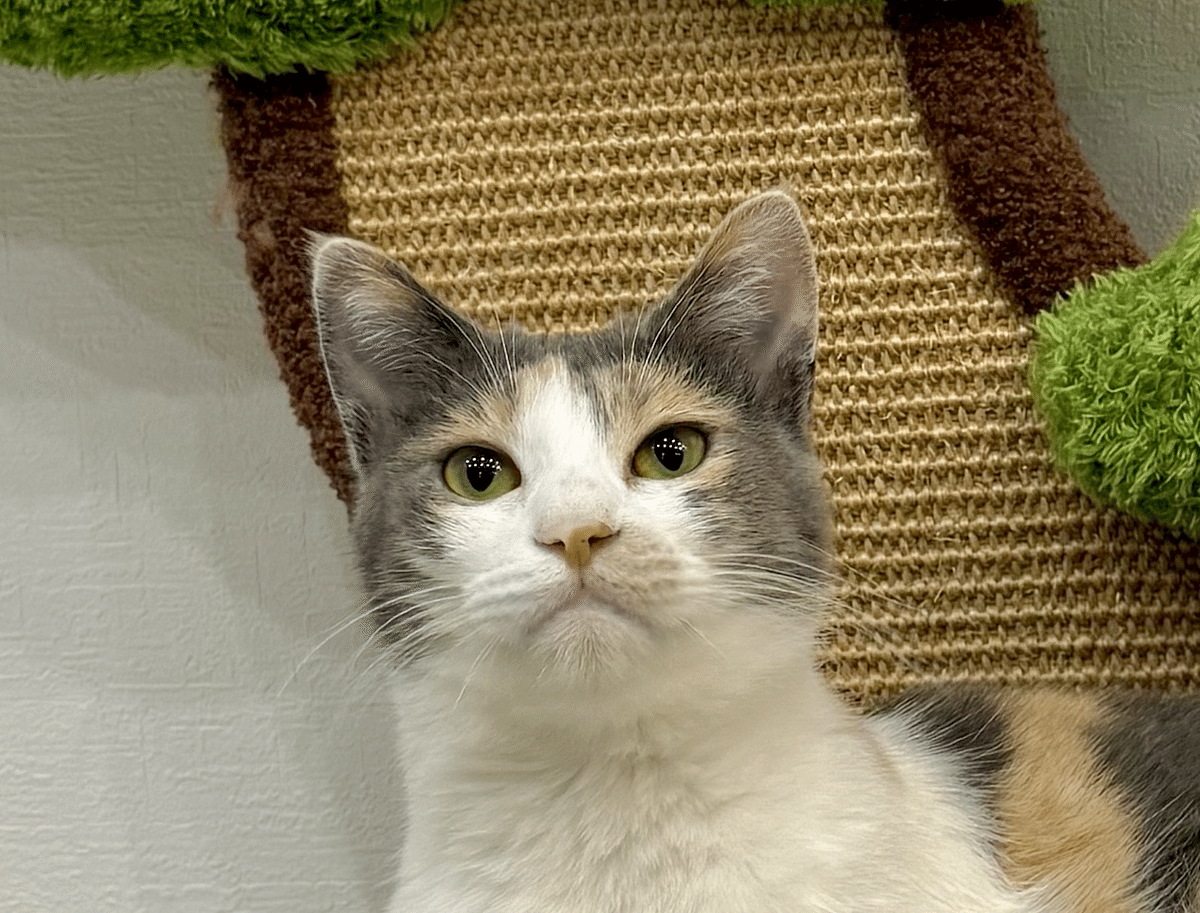 Xで言えなかった事｜なみそ