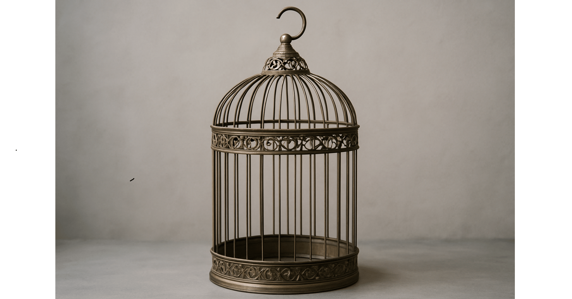 鳥籠が鳥を探しに出かけた（Ein Käfig ging einen Vogel suchen