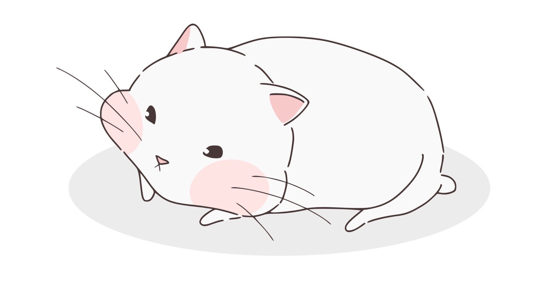 カリタス女子中学校 4年間 ステップ過去問 Amazon.co.jp: カリタス女子中学校 2026年度用 4年間スーパー