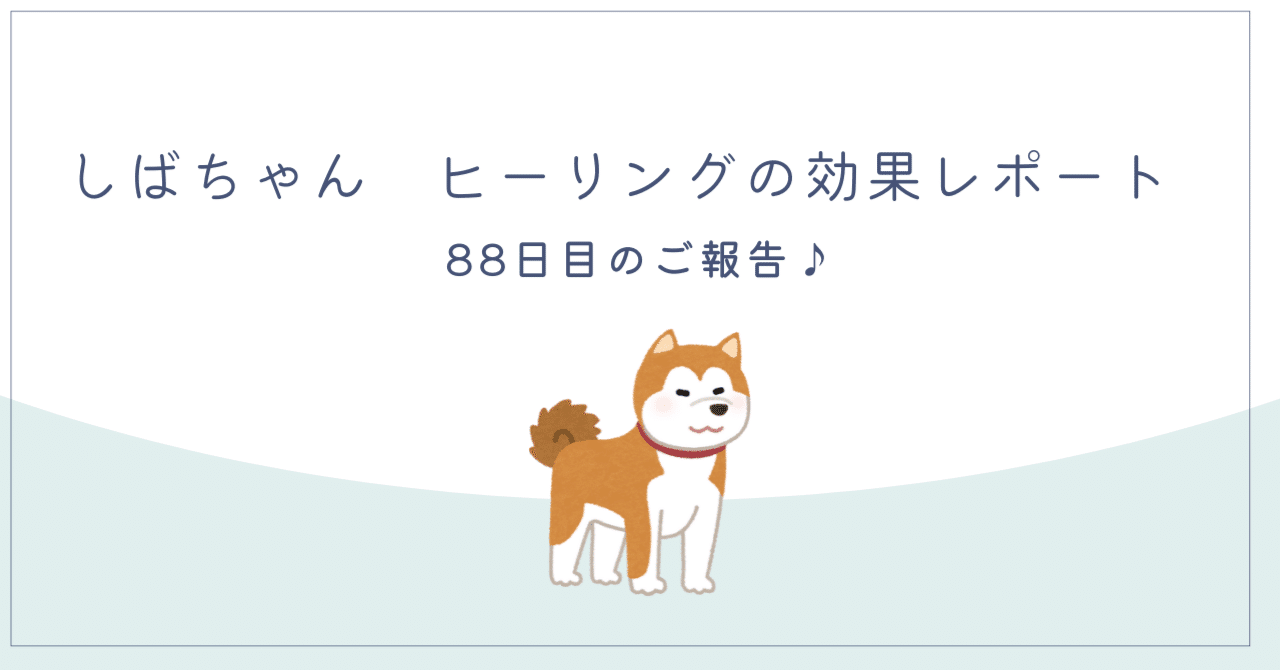レイキヒーリング☆一ヶ月間 しばちゃん （レイキ）ヒーリング効果で健康にー88日目のご報告