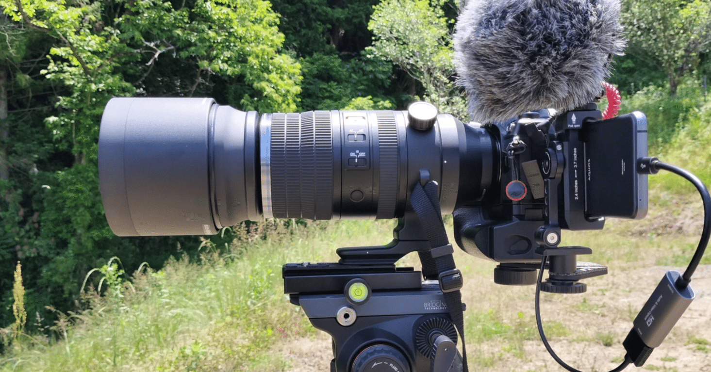 M.ZUIKO DIGITAL ED 150-600mm F5.0-6.3 IS 使用してきました