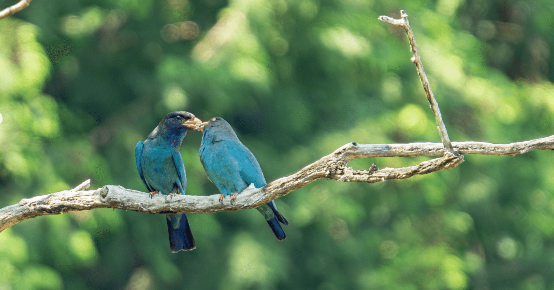 EF0416-4-2 ZOJIROSHIＶＥ電気まほうびん[動作確認済み] VE電気まほうびん CV-GV22 WA（ホワイト） | 象印マホービン公式