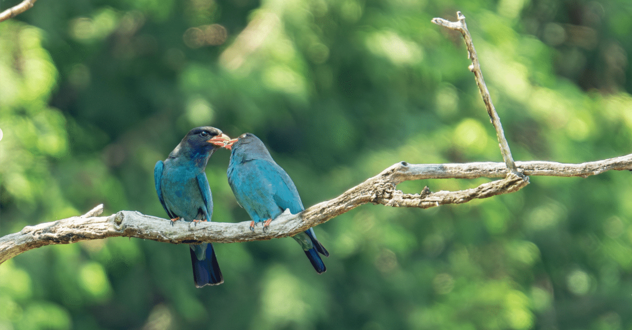 自作 「絶望」 見てください 絶望ライン工ch - Search / X