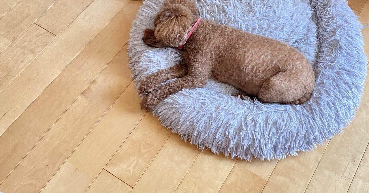 1枚の絵 ラウル・デュフィの「黄色いコンソール」と出会った日