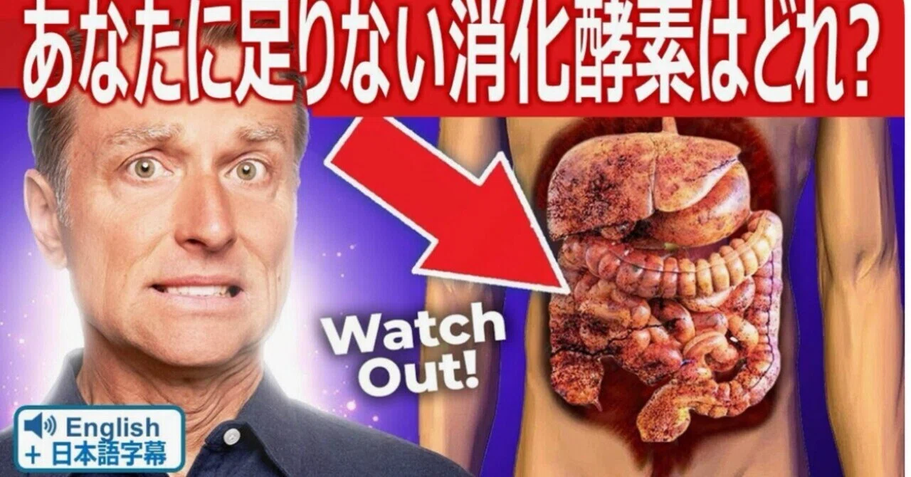 最新｜あなたに足りない消化酵素はどれ？｜ドクター・バーグ