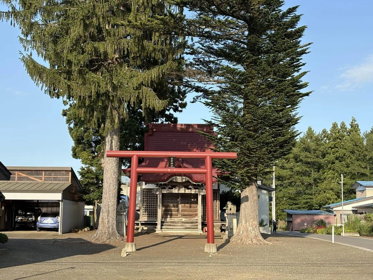 画像