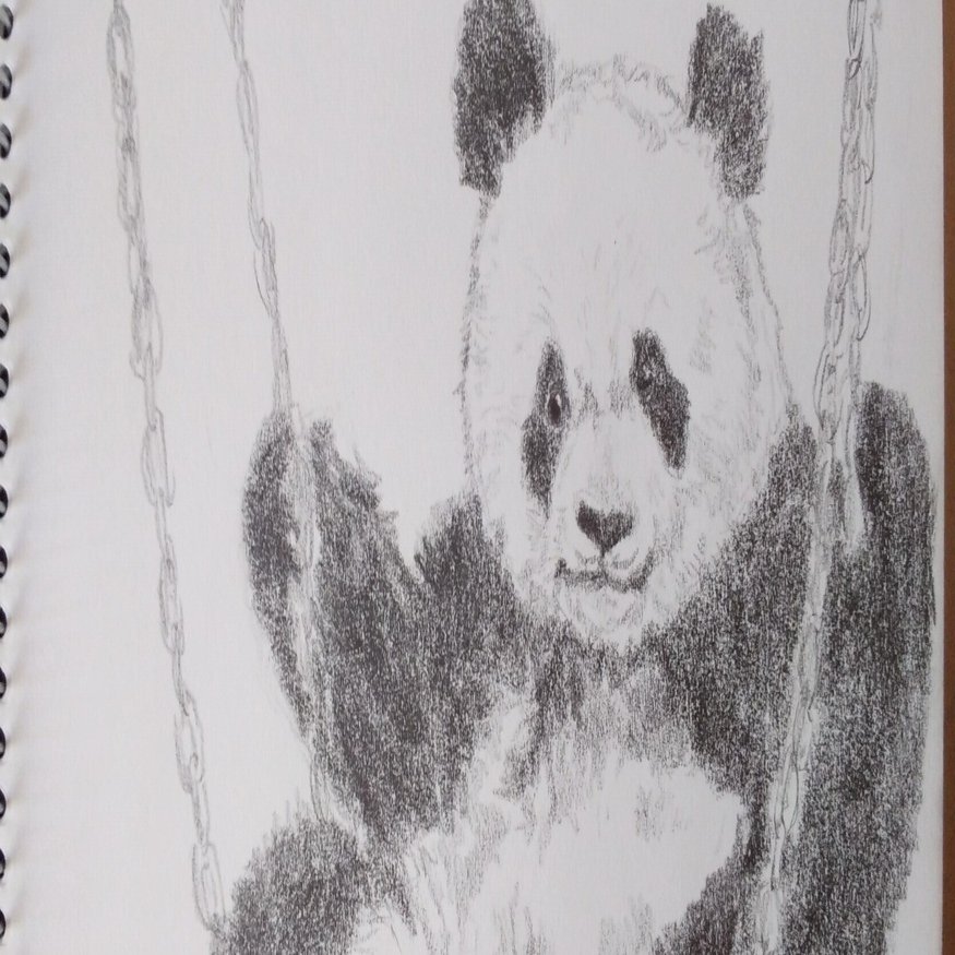 パンダデッサン練習第20週 9/7-9/13｜こひろ@こぎん刺しのテディベア作家kogin＊bear style, image size:1671x875